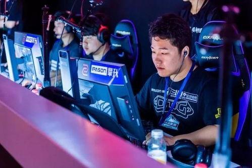 爆料小智赶海视频大全,探寻海洋宝藏的欢乐时光  第1张