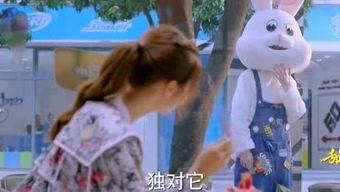 糖糖爆料搞笑视频,笑料百出,欢乐无限 第1张 糖糖爆料搞笑视频,笑料百出,欢乐无限 第1张