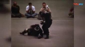 截拳宗师爆料视频大全,爆料视频大全深度解析  第1张