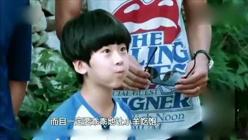 娱乐八卦每日爆料真人,明星真实现身幕后故事  第1张